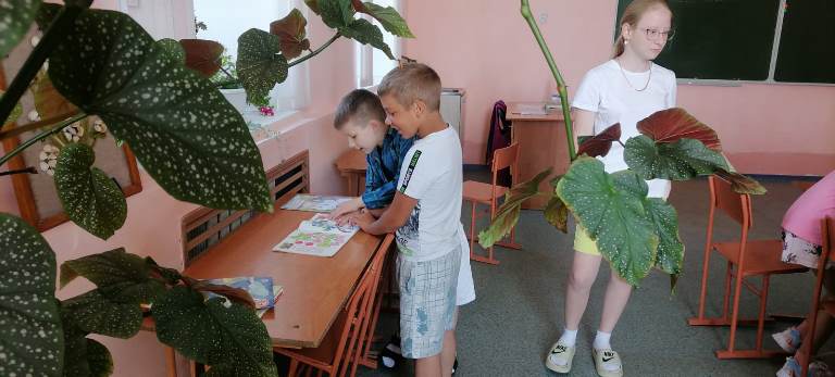 Изображения.