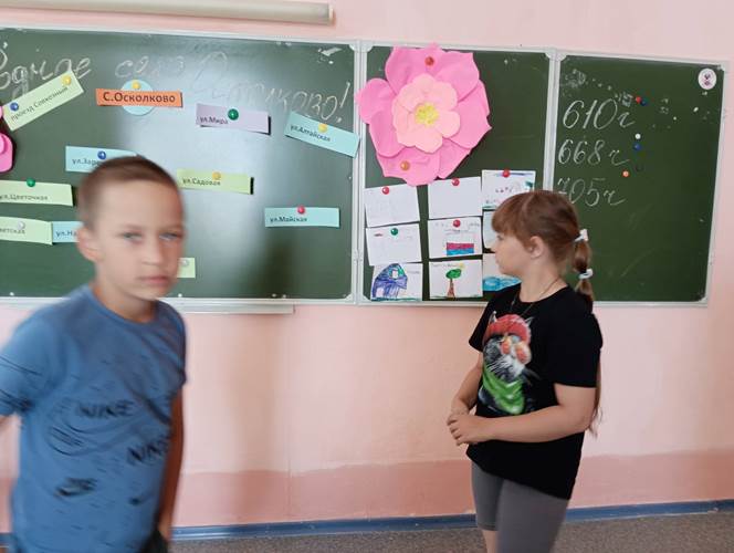 Изображения.